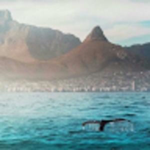 Meet your Posher, Thandie